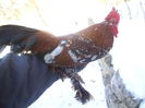 DSCF6270