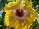 DSC04473