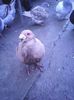 Photo0003