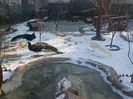 20160123_085205