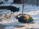 20160123_085158