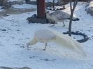 20160123_085155