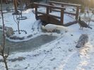 20160123_085134