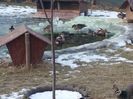 20160123_160833