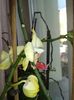 20160123_135458