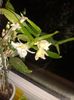 20160123_200535