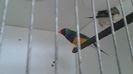 20160123_113503_2_bestshot