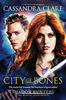 Shadowhunters (1)