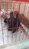 20160124_152629