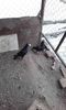 20160124_153727