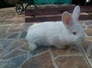 20150420_164629