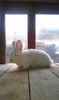 IMAG0029