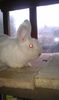 IMAG0031