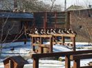 20160125_114144