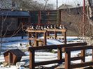 20160125_114133