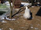 20160125_114106