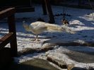 20160125_113806