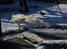 20160125_113802