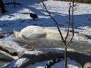 20160125_113759