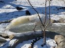 20160125_113743