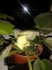 20160125_204928