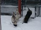 20160126_090132