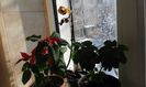 20160126_103654
