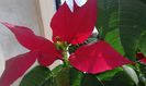 20160126_104040