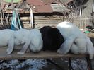 IMG_20160126_141023