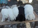 IMG_20160126_140938