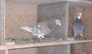 20160126_165234
