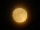 DSCN7405