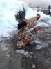 20160126_164533