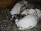 IMG_20160127_130034