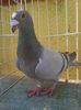 Photo0062