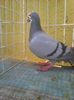 Photo0061