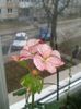 20160127_132051