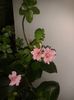 20160127_132111
