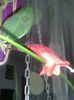 20160127_132123