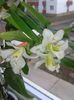 20160127_132154