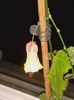 20160127_193345