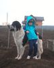 IMG_20160128_165635-1