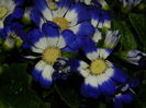 DSCN7656