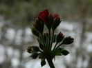 DSCN7694