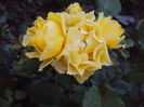 DSC09330