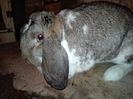 IMG_20160129_201436
