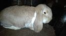 IMG_20160129_213046