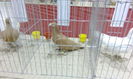 IMG_20160115_203902