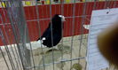IMG_20160115_204036