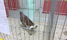 IMG_20160115_212548